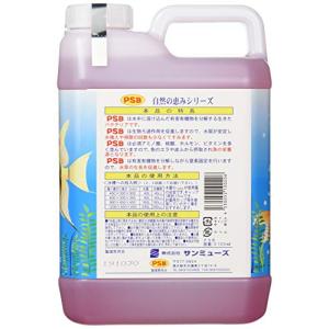 サンミューズ PSB 2.1Lの詳細画像1