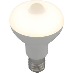 LED電球 E17 人感・明暗センサー付の高価買取価格