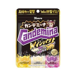 Kabaya カバヤ タフグミ 100g／パック 1セット（6パック