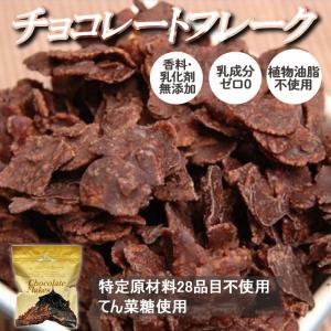 【アレルギー対応】チョコレートフレーク　100g【辻安全食品】5歳頃〜　グルテンフリー
