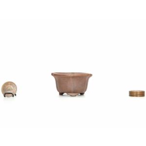 現代小鉢：昭山 足付モッコ鉢【現品】*shouzan 12.4cm : 遊恵盆栽
