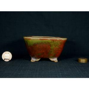 現代小鉢：平安虹泉 正方鉢 11.0cm【現】*資材 : 遊恵盆栽 Yahoo!店