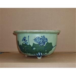 瀬戸焼梅図青磁盆栽鉢 [B29118] 瀬戸焼、尾張】 青磁白梅図鉢 : Bonsai Store Ito - 通販 - Yahoo