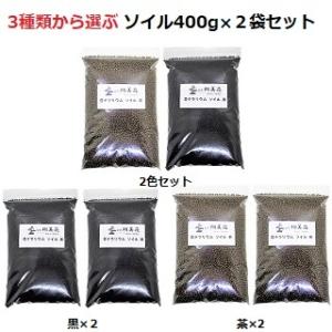 苔 テラリウム ソイル ( 苔テラリウム の 土 用土 ) 400g ×２袋 セット 【 送料無料 】 コケリウム 苔リウム パルダリウム ビバリウム にも