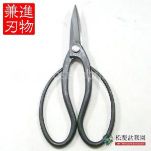 盆栽 道具 兼進 盆栽鋏 〜青紙（青鋼）〜 全長180mm No.40F