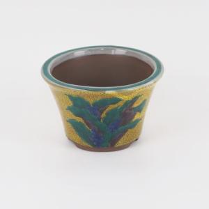 盆栽小鉢：真山（まざん）楕円鉢 13.7cm 【現品】 : 遊恵盆栽 Yahoo!店