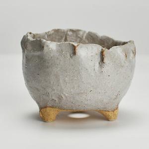 盆栽鉢 月香 小型 長辺 約17.4cm 楕円鉢 赤絵 雀画 鳥 花 共箱 共布