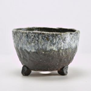 盆栽小鉢：青香(せいか)（長方鉢 12.2cm）* 資材 : 遊恵盆栽