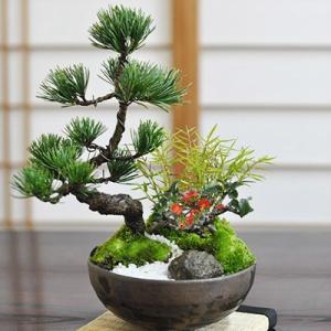 迎春：特大松竹梅*鶴付き 花色選べる＜2026年早春開花予定＞会社 玄関