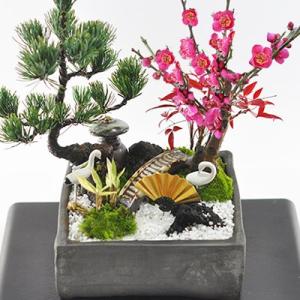 盆栽 モダン松竹梅の寄せ植え 6号サイズ 迎春の盆栽 新春 植物 豪華 縁起物 寄せ植え