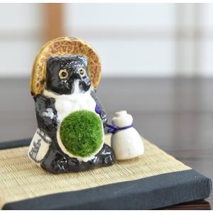 苔盆栽 信楽たぬきの苔盆栽 パパたぬき 陶器 ...の詳細画像1