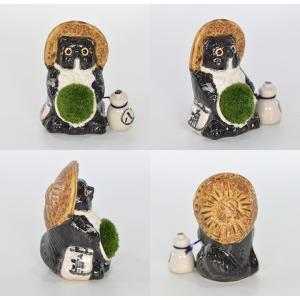 苔盆栽 信楽たぬきの苔盆栽 パパたぬき 陶器 ...の詳細画像2