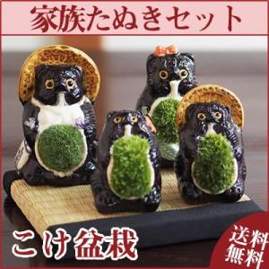 盆栽 家族たぬきの苔盆栽 4体セット 陶器 置物...の商品画像