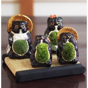 盆栽 家族たぬきの苔盆栽 4体セット 陶器 置...の詳細画像1