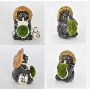 盆栽 家族たぬきの苔盆栽 4体セット 陶器 置...の詳細画像2