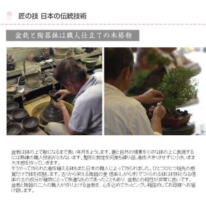 母の日 花盆栽 盆栽 長寿梅 ミニ盆栽 万古焼...の詳細画像4