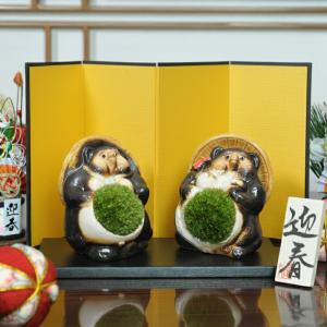 盆栽 モダン丸7号 松竹梅 お正月 福 縁起物 植物 五葉松 梅 ぼんさい