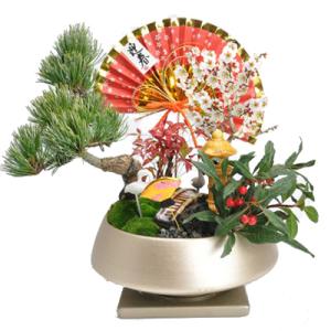 盆栽 モダン丸7号 松竹梅 お正月 福 縁起物 植物 五葉松 梅 ぼんさい
