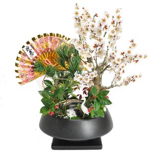 盆栽 モダン丸7号 松竹梅  お正月 福 縁起物 植物 五葉松 梅 ぼんさい 正月飾り 寄植え