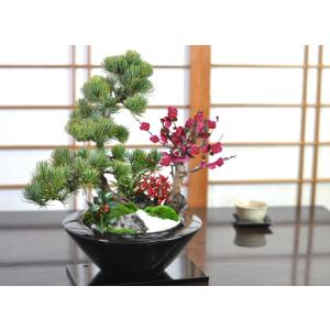 盆栽 モダン 松竹梅 受皿付き お正月 福 縁...の詳細画像1