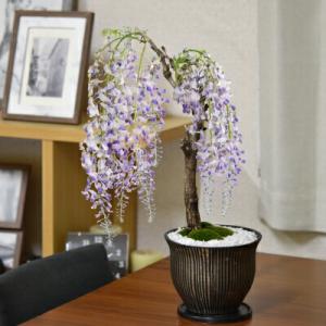 加藤舜陶 灰釉 彫文 壷 花瓶 花器 花入 花生 共箱 陶器 陶芸 作家