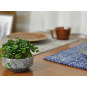 ミニ盆栽 バイカオーレン 庵治石の器 山野草 ...の詳細画像4