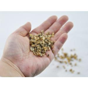 川砂 1.3kg 盆栽 用土 道具 配合 植え...の詳細画像2