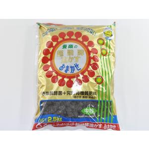 油かす 盆栽用飾卓 の商品一覧 花瓶 花台 花 ガーデニング 通販 Yahoo ショッピング