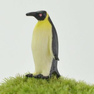 アニマルピック ペンギン テラリウム 苔庭 多肉植物