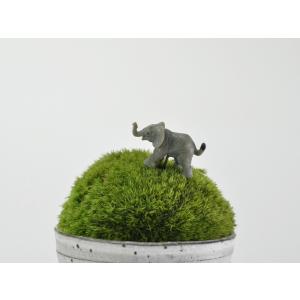 アニマルピック ゾウ テラリウム 苔庭 多肉植物の詳細画像1