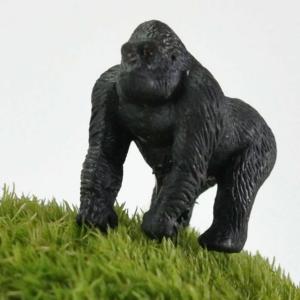 アニマルピック ゴリラ テラリウム 苔庭 多肉植物