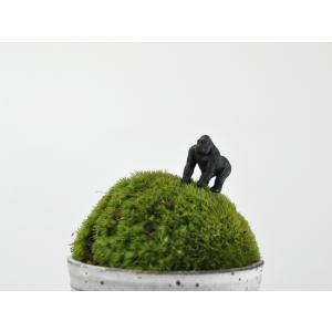 アニマルピック ゴリラ テラリウム 苔庭 多肉植物の詳細画像1