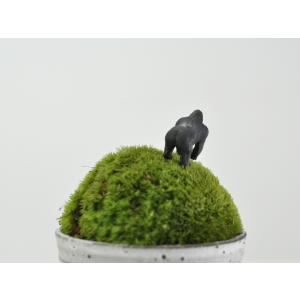 アニマルピック ゴリラ テラリウム 苔庭 多肉植物の詳細画像2