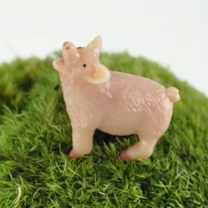 アニマルピック ブタ テラリウム 苔庭 多肉植物