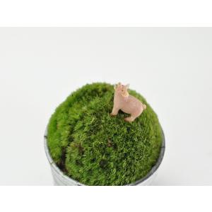 アニマルピック ブタ テラリウム 苔庭 多肉植物の詳細画像1