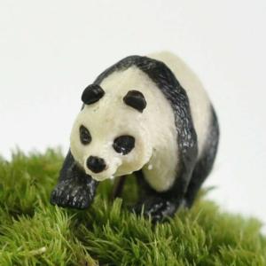 アニマルピック パンダ テラリウム 苔庭 多肉植物