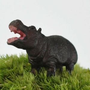 アニマルピック カバ テラリウム 苔庭 多肉植物