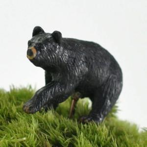 アニマルピック ブラックベア テラリウム 苔庭 多肉植物