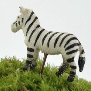 アニマルピック シマウマ テラリウム 苔庭 多肉植物