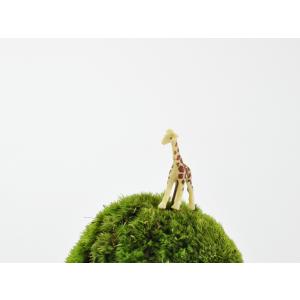 アニマルピック キリン テラリウム 苔庭 多肉植物の詳細画像1