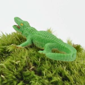 アニマルピック ワニ テラリウム 苔庭 多肉植物