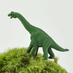アニマルピック プラキオサウルス テラリウム 苔庭 多肉植物