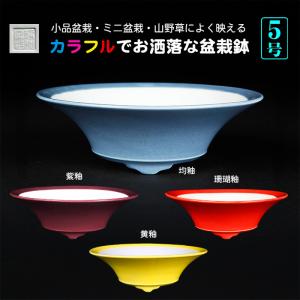 盆栽鉢 色鉢 白均釉外縁下紐楕円鉢 陶器 4号 12.5cm ホワイト 小品盆栽