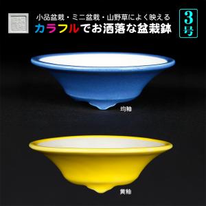 寿悦白釉長方鉢 盆栽鉢 植木鉢 盆器 pot bonsaipot juetsu ジュエツ