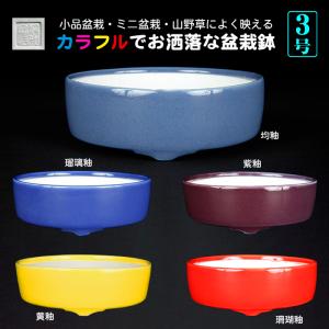 盆栽鉢 色鉢 白均釉外縁丸鉢 陶器 3号 10.5cm ホワイト 小品盆栽 ミニ