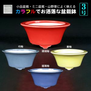 盆栽鉢 色鉢 緑釉外縁下紐楕円鉢 陶器 4号 12.5cm グリーン 小品盆栽