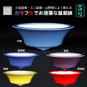 寿悦白釉長方鉢 盆栽鉢 植木鉢 盆器 pot bonsaipot juetsu ジュエツ