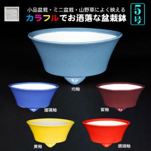 盆栽鉢 色鉢 白均釉外縁下紐楕円鉢 陶器 4号 12.5cm ホワイト 小品盆栽