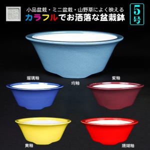 盆栽鉢 静和富造3号反型丸鉢 色鉢 磁器 9cm 小品盆栽 ミニ盆栽 山野草