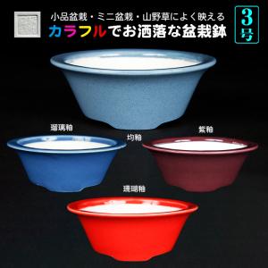 盆栽鉢 静和富造3号椀型丸鉢 色鉢 磁器 8cm 小品盆栽 ミニ盆栽 山野草
